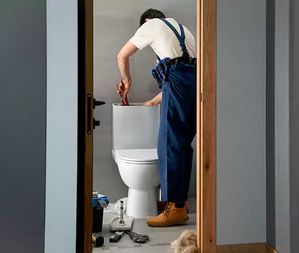 Professional Plumbers for Toilet Bowl Replacement in Lancaster, TX: Schedule Affordable Toilet Replacement Services With Us