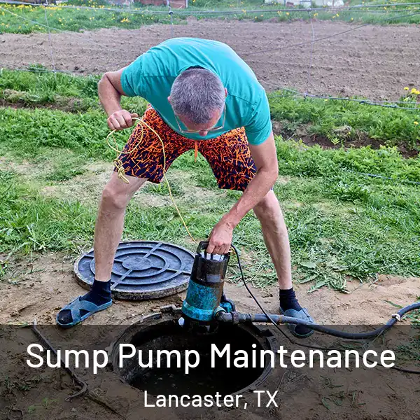  Sump Pump Maintenance Lancaster, TX